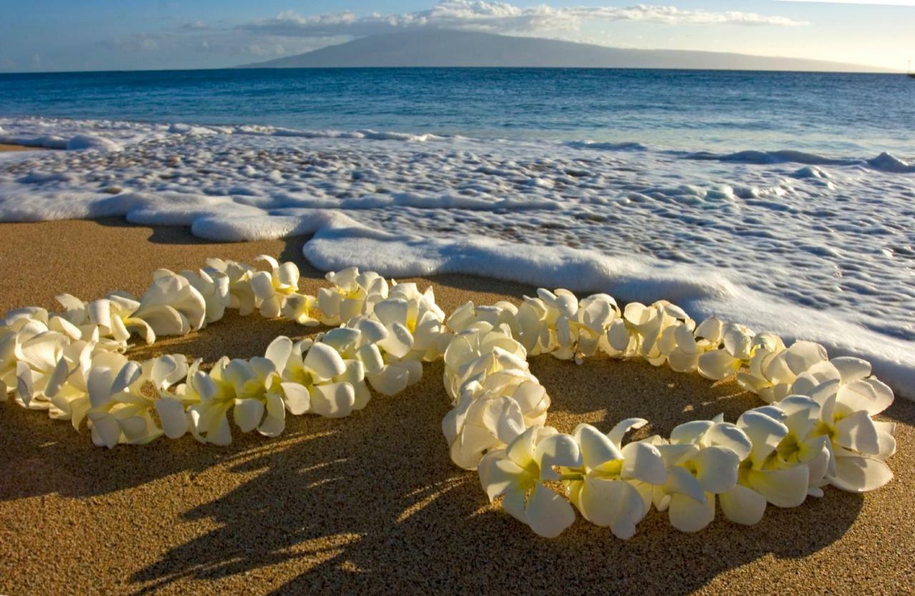Beautiful Studio In The Heart Of Vibrant Waikiki โฮโนลูลู ภายนอก รูปภาพ
